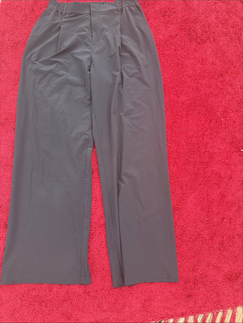 ALO Wide Leg Pants